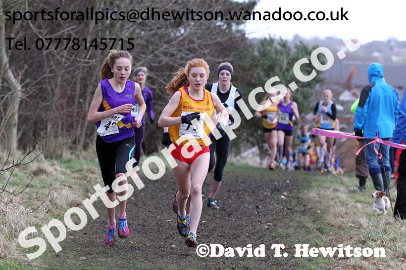 Intermediate girls 3. Photo: David T. Hewitson/Sports for All Pics